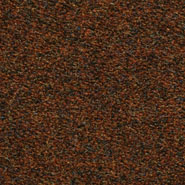 Flora 2_577  Kvadrat